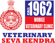 1962  logo